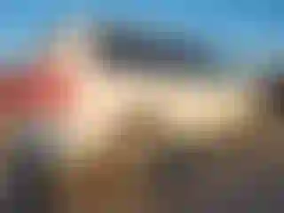 IMPORTOWO.pl