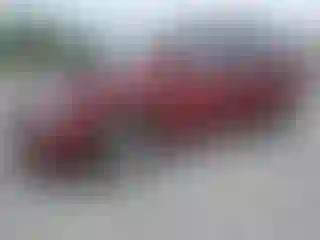 Vehicle Image- 2011 Kia Sedona