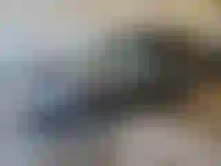 Vehicle Image- 2011 Kia Sedona