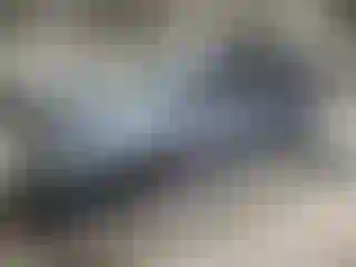 Vehicle Image- 2010 Kia Sedona