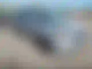 Vehicle Image- 2011 Kia Sedona