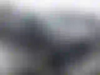 Vehicle Image- 2024 Kia Carnival