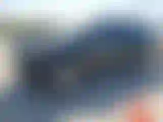 Vehicle Image- 2024 Kia Carnival