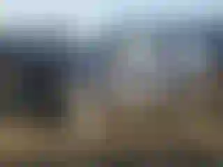 Vehicle Image- 2024 Kia Carnival