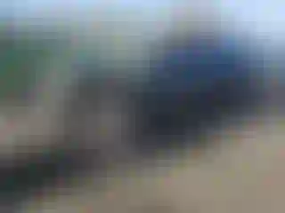 Vehicle Image- 2022 Kia Carnival