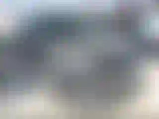 Vehicle Image- 2024 Kia Carnival