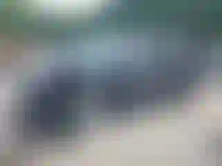 Vehicle Image- 2024 Kia Carnival