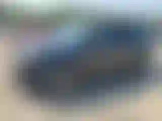 Vehicle Image- 2024 Kia Carnival