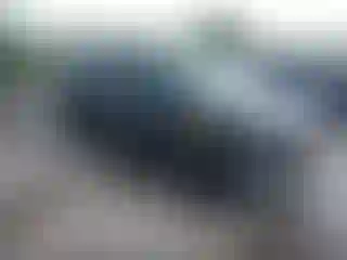 Vehicle Image- 2025 Kia Carnival