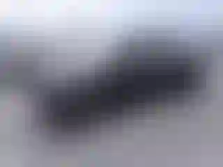 Vehicle Image- 2024 Kia Carnival