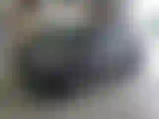 Vehicle Image- 2023 Kia Carnival