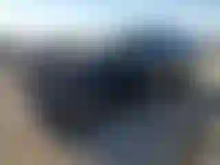 Vehicle Image- 2024 Kia Carnival