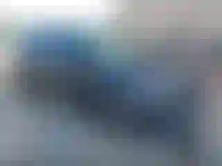 Vehicle Image- 2023 Kia Carnival