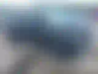 Vehicle Image- 2024 Kia Carnival