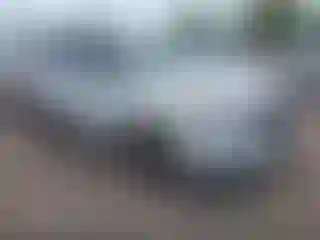 Vehicle Image- 2024 Kia Carnival