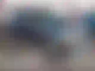 Vehicle Image- 2024 Kia Carnival