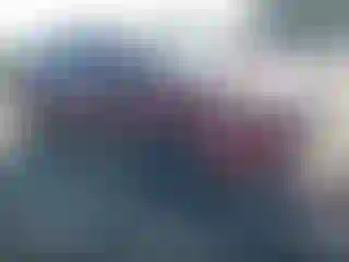 Vehicle Image- 2023 Kia Carnival