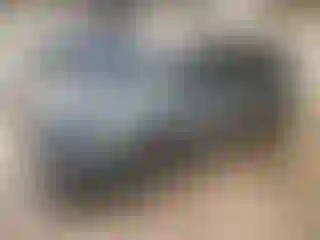 Vehicle Image- 2024 Kia Carnival