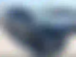 Vehicle Image- 2024 Kia Carnival