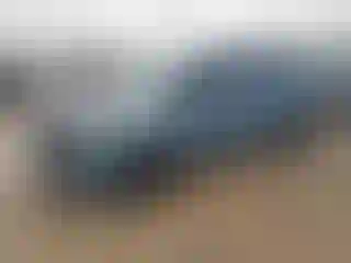 Vehicle Image- 2025 Kia Carnival