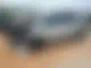 Vehicle Image- 2025 Kia Carnival