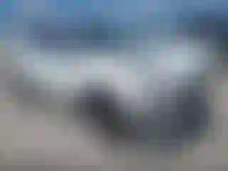 Vehicle Image- 2021 Kia Sportage