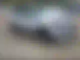Vehicle Image- 2021 Kia Sportage