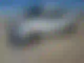 Vehicle Image- 2020 Kia Sportage