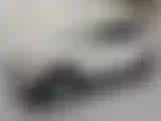 Vehicle Image- 2013 Kia Sportage