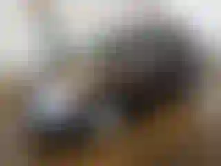 Vehicle Image- 2012 Kia Sportage