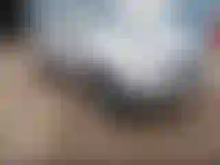 Vehicle Image- 2013 Kia Sportage