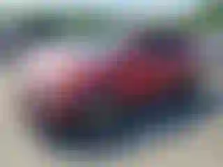 Vehicle Image- 2012 Kia Sportage