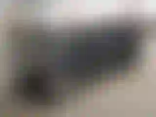 Vehicle Image- 2013 Kia Sportage