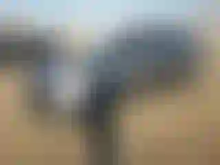 Vehicle Image- 2019 Kia Sportage