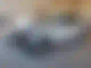 Vehicle Image- 2019 Kia Sportage