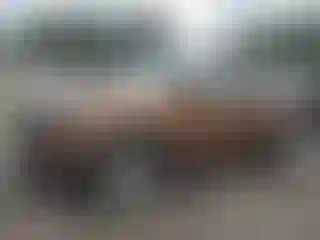 Vehicle Image- 2019 Kia Sportage