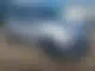 Vehicle Image- 2022 Kia Sportage