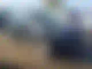 Vehicle Image- 2019 Kia Sportage