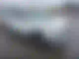 Vehicle Image- 2019 Kia Sportage