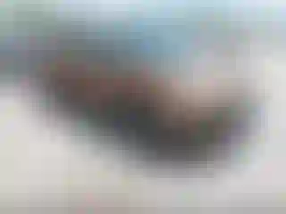 Vehicle Image- 2021 Kia Sportage