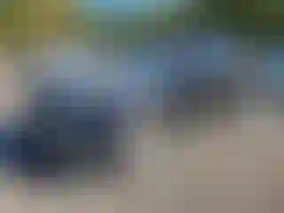 Vehicle Image- 2017 Kia Sportage