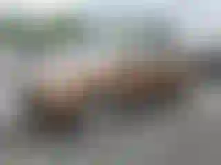 Vehicle Image- 2018 Kia Sportage