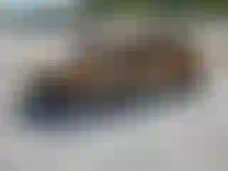 Vehicle Image- 2018 Kia Sportage