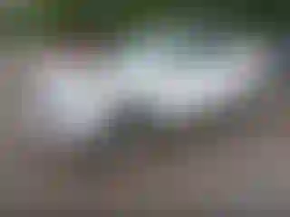 IMPORTOWO.pl