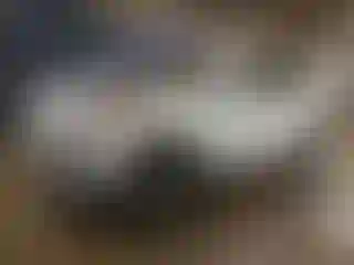 Vehicle Image- 2022 Kia Sportage