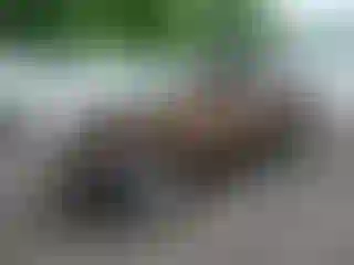 Vehicle Image- 2019 Kia Sportage