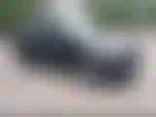 Vehicle Image- 2020 Kia Sportage