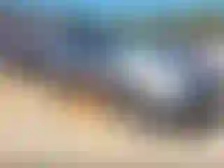 Vehicle Image- 2019 Kia Sportage