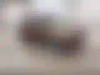 Vehicle Image- 2019 Kia Sportage