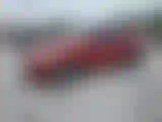 Vehicle Image- 2017 Kia Sportage